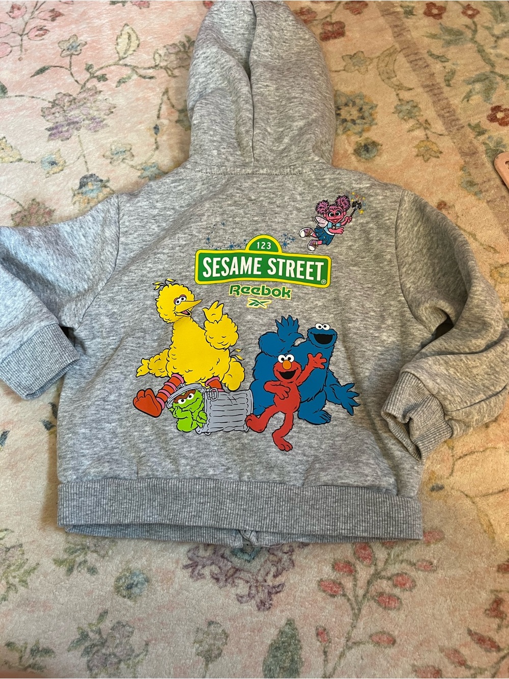 Reebok Kids' Gray Sesame Street Hoodie with Colorful Character Print
